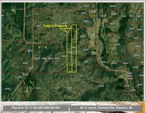 Clement Road, Alanson, MI 49706