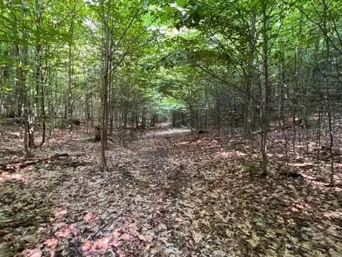 Clement Road, Alanson, MI 49706 photo 4