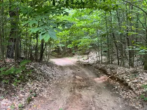 Clement Road, Alanson, MI 49706 photo 12