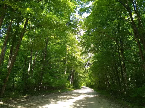 Clement Road, Alanson, MI 49706 photo 14
