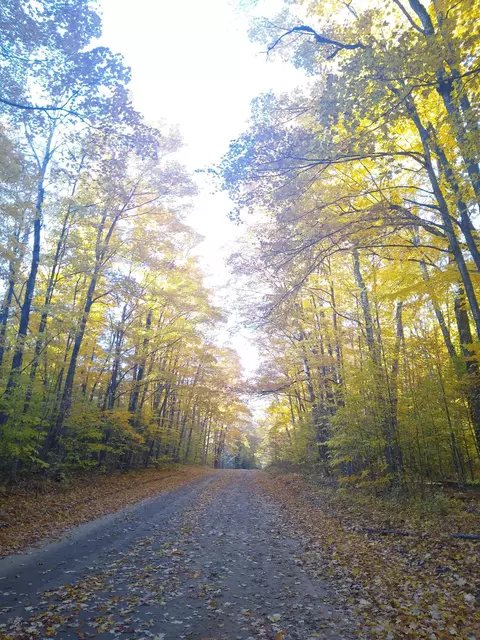 Clement Road, Alanson, MI 49706 photo 3
