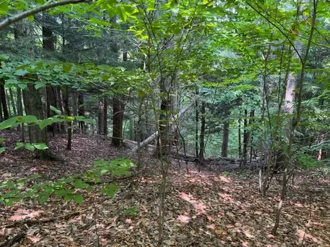 Clement Road, Alanson, MI 49706 photo 11