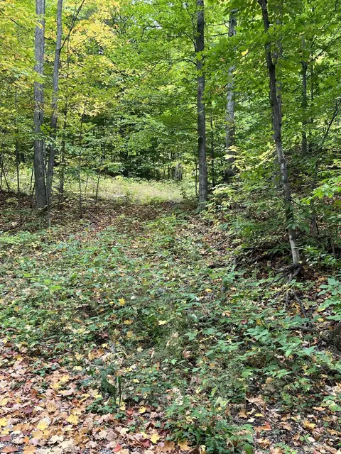 Tower Road, Vanderbilt, MI 49795 photo 17