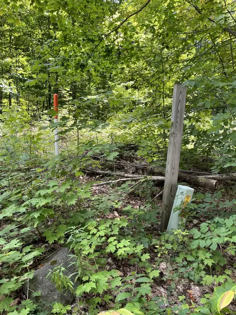Tower Road, Vanderbilt, MI 49795 photo 5