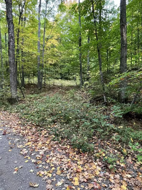 Tower Road, Vanderbilt, MI 49795 photo 18