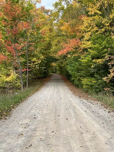 Tower Road, Vanderbilt, MI 49795 photo 19