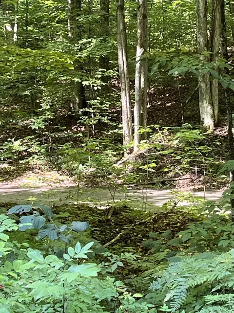 Tower Road, Vanderbilt, MI 49795 photo 12