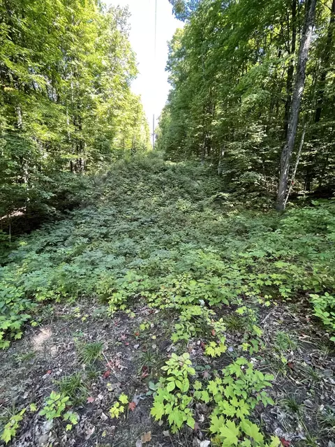 Tower Road, Vanderbilt, MI 49795 photo 9