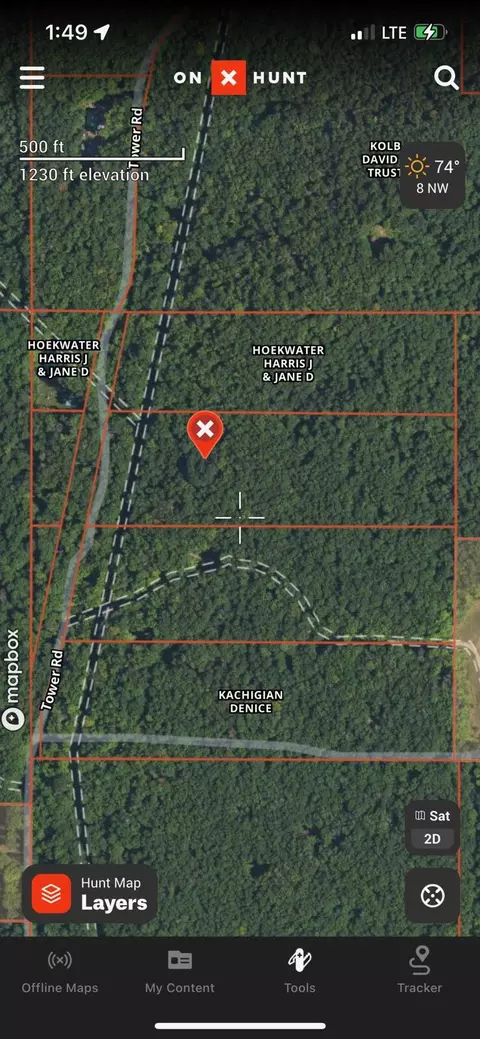 Tower Road, Vanderbilt, MI 49795 photo 13
