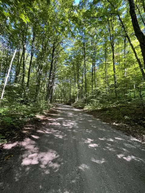 Tower Road, Vanderbilt, MI 49795