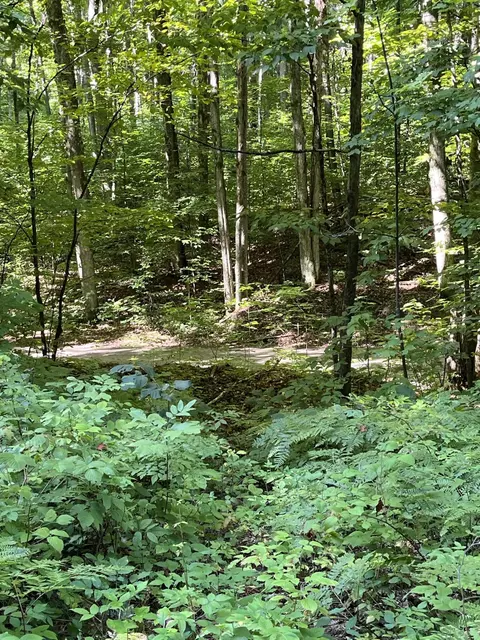 Tower Road, Vanderbilt, MI 49795 photo 8