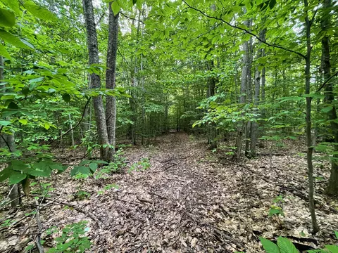 Amoco Road, Gaylord, MI 49735