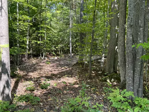 1702 Trails End Rd, Mackinaw City, MI 49701