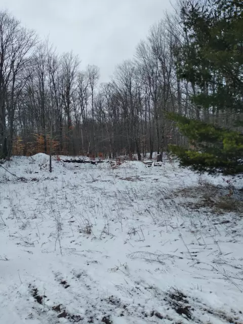 lot238 Dellwood Drive Circle Elmira Mi 49730 Cir, Elmira, MI 49730