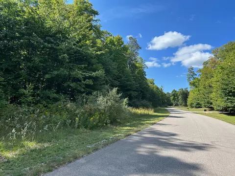 11300 Berry Creek Valley Road Petoskey Mi 49770 Rd, Petoskey, MI 49770