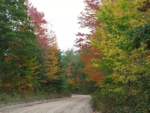 Sorensen Road, Hillman, MI 49746