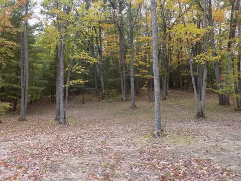 Sorensen Road, Hillman, MI 49746