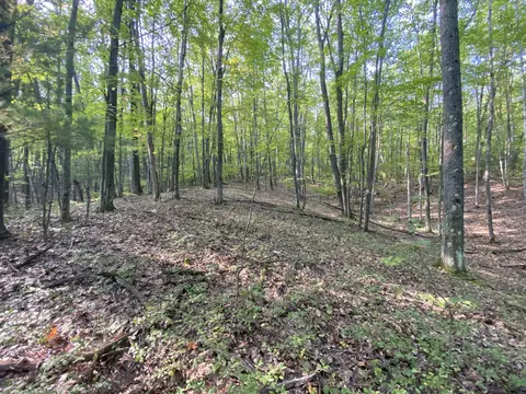 225 Scout Dr, Roscommon, MI 48653 photo 88