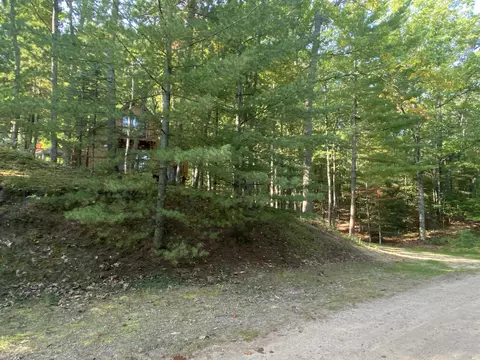 225 Scout Dr, Roscommon, MI 48653 photo 89