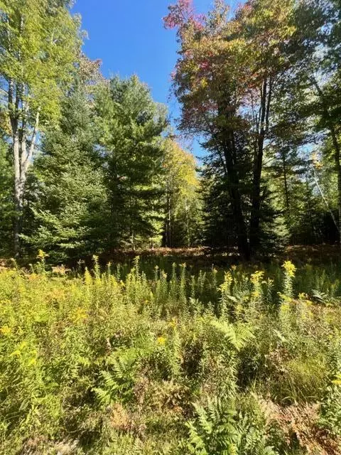 3675 Nasser Road Fairview Mi 48621 Rd, Fairview, MI 48621 photo 60