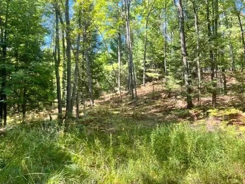 3675 Nasser Road Fairview Mi 48621 Rd, Fairview, MI 48621 photo 61