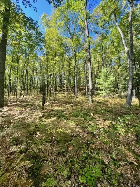 3675 Nasser Road Fairview Mi 48621 Rd, Fairview, MI 48621 photo 62