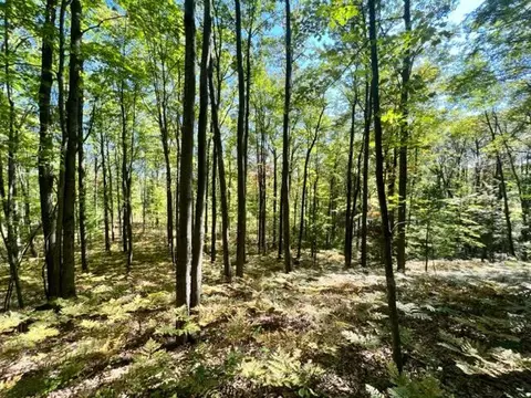 3675 Nasser Road Fairview Mi 48621 Rd, Fairview, MI 48621 photo 45