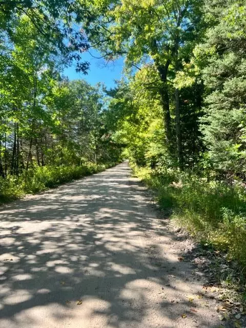 3675 Nasser Road Fairview Mi 48621 Rd, Fairview, MI 48621 photo 52