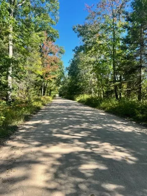 3675 Nasser Road Fairview Mi 48621 Rd, Fairview, MI 48621 photo 53