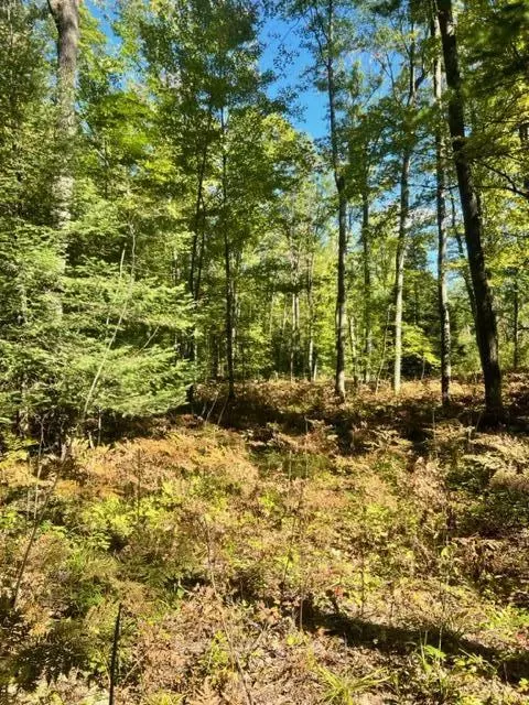 3675 Nasser Road Fairview Mi 48621 Rd, Fairview, MI 48621 photo 64