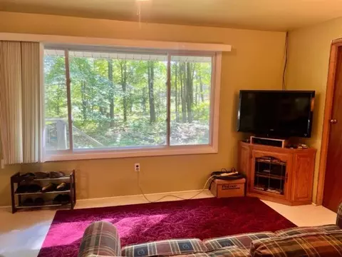 3675 Nasser Road Fairview Mi 48621 Rd, Fairview, MI 48621 photo 32