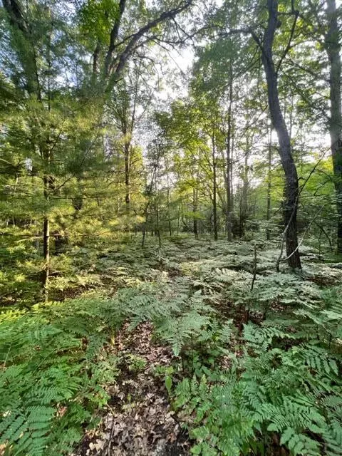 3675 Nasser Road Fairview Mi 48621 Rd, Fairview, MI 48621 photo 69