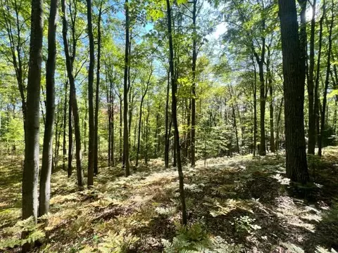 3675 Nasser Road Fairview Mi 48621 Rd, Fairview, MI 48621 photo 44