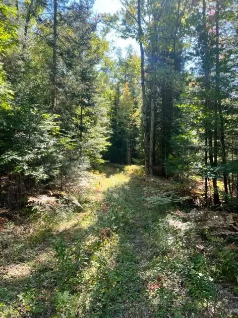 3675 Nasser Road Fairview Mi 48621 Rd, Fairview, MI 48621 photo 58