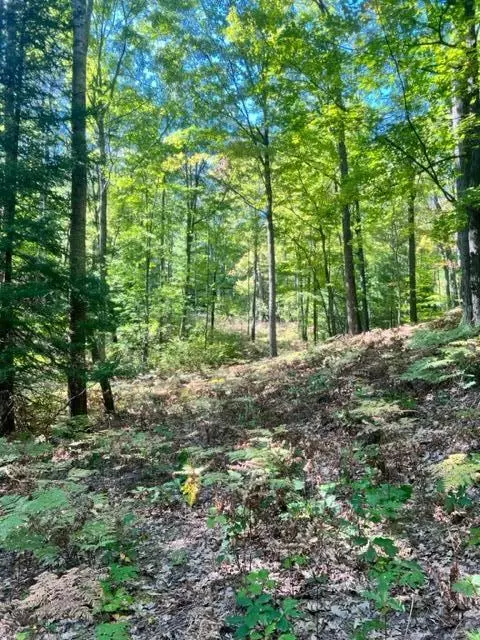 3675 Nasser Road Fairview Mi 48621 Rd, Fairview, MI 48621 photo 47