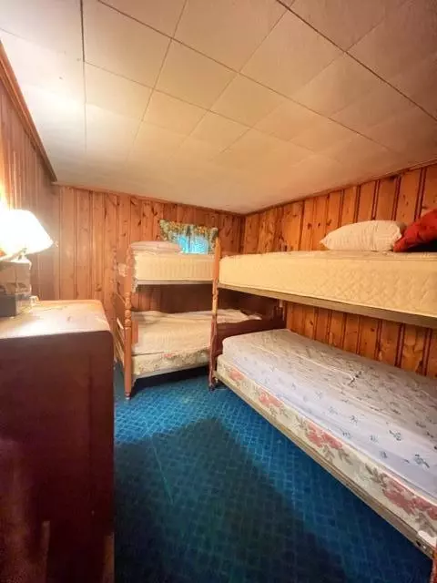 3675 Nasser Road Fairview Mi 48621 Rd, Fairview, MI 48621 photo 20
