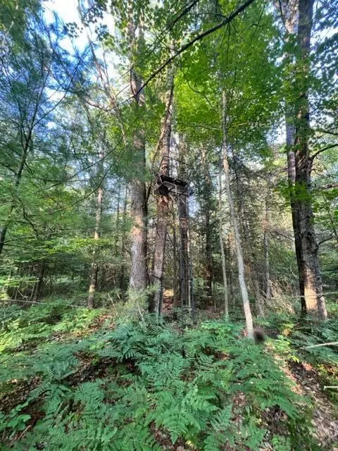 3675 Nasser Road Fairview Mi 48621 Rd, Fairview, MI 48621 photo 67