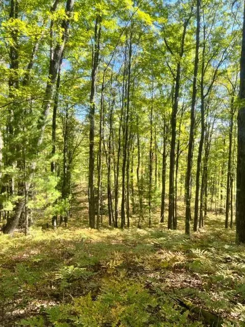 3675 Nasser Road Fairview Mi 48621 Rd, Fairview, MI 48621 photo 41