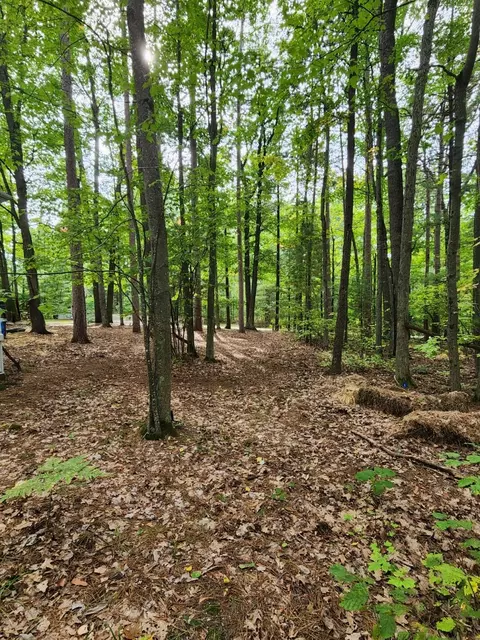 269 E Skyline Dr, Roscommon, MI 48653 photo 7