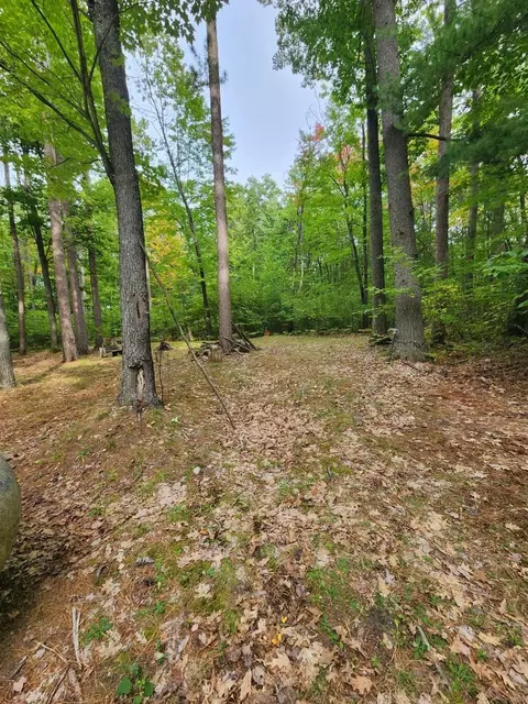 269 E Skyline Dr, Roscommon, MI 48653 photo 8