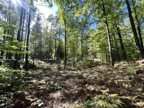 3675 Nasser Rd # -B, Fairview, MI 48621