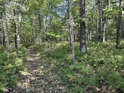 Murray Street, Hillman, MI 49746