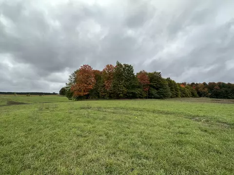 V/L Farmview Court #21.39 ACRES, Gaylord, MI 49735
