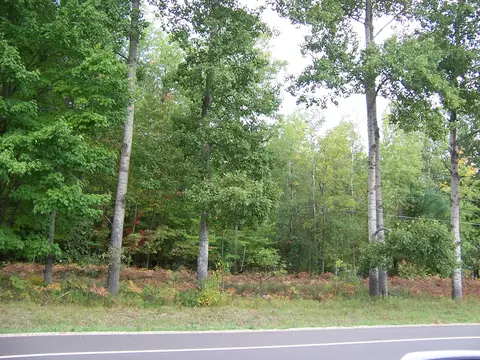 5683 N Markey Rd, Roscommon, MI 48653