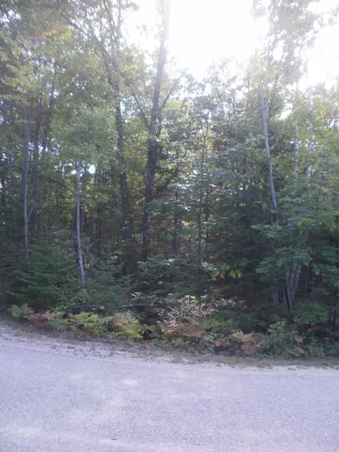 4648 Chickadee Dr, Cheboygan, MI 49721 photo 9