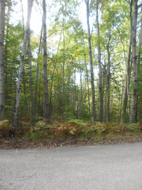 4648 Chickadee Dr, Cheboygan, MI 49721 photo 8