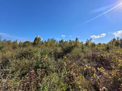 451 Highway Parcels 4 5 Rogers City Mi 49779 Hwy #PARCELS 4 & 5, Rogers City, MI 49779