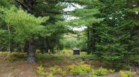 Rainy Lake Rd./5 Mile Hwy., Millersburg, MI 49759