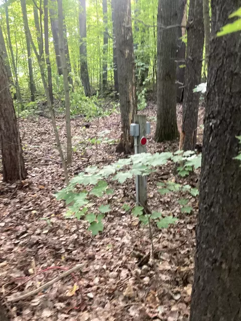 Parcel E Sherman Road #2.85 ACRES, Frederic, MI 49733 photo 16