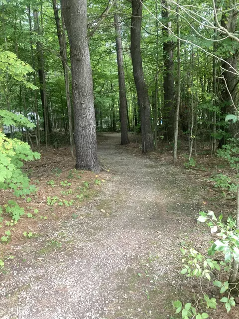 Parcel E Sherman Road #2.85 ACRES, Frederic, MI 49733 photo 17